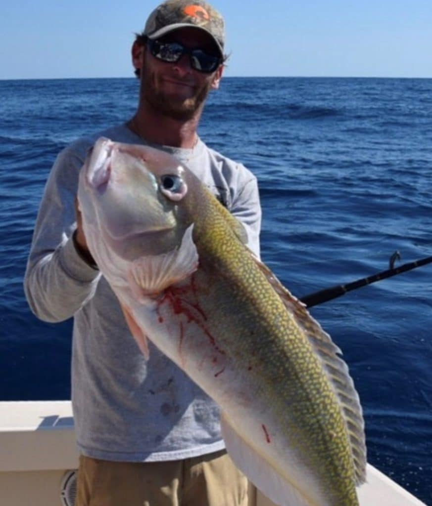 Golden tilefish caught using electric reel