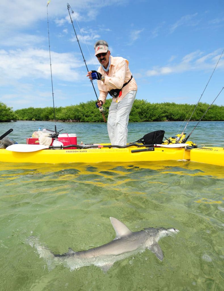 Discovered: A Shark That Eats Sea Grass