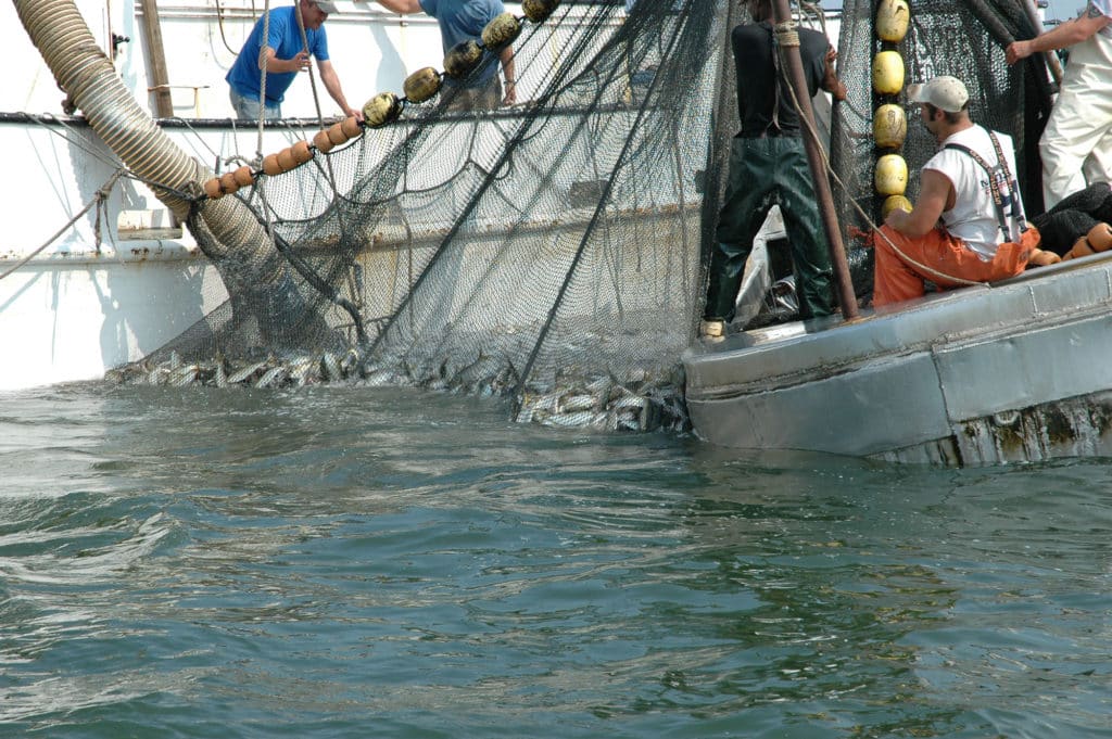 Omega Protein harvesting seafood