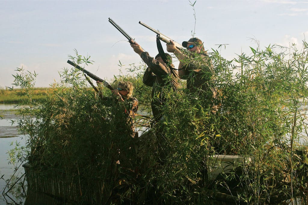 Hunters shooting from duck blind