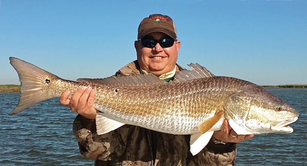 Fisherman holding red drum fishing Gulf of Mexico