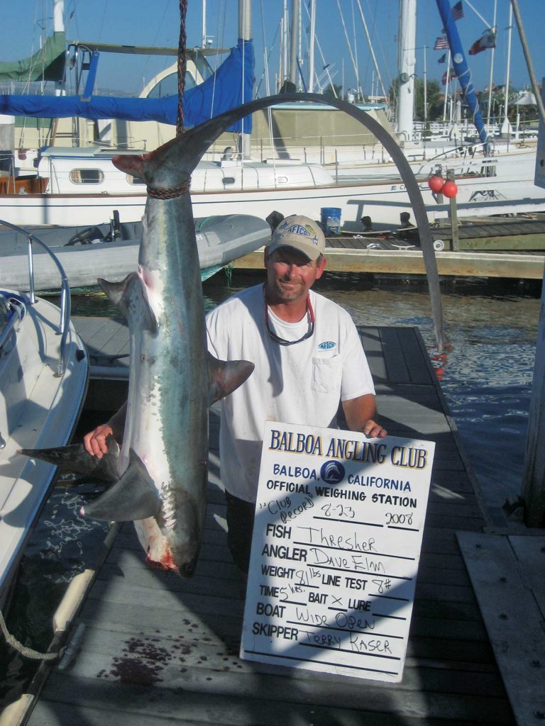 thresher sharks in California