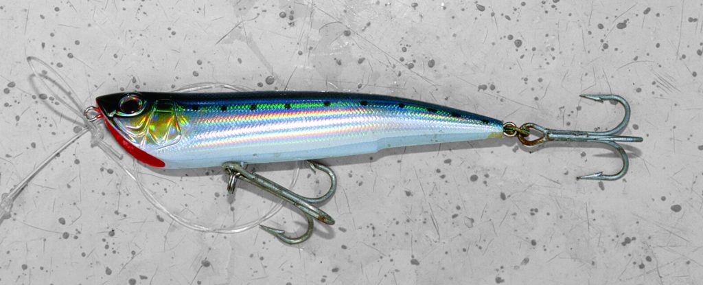 Fishing stripers and blues in Northeast boulder fields - how to rig your lure
