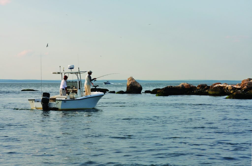 Fishing stripers and blues in Northeast boulder fields - fish shallow