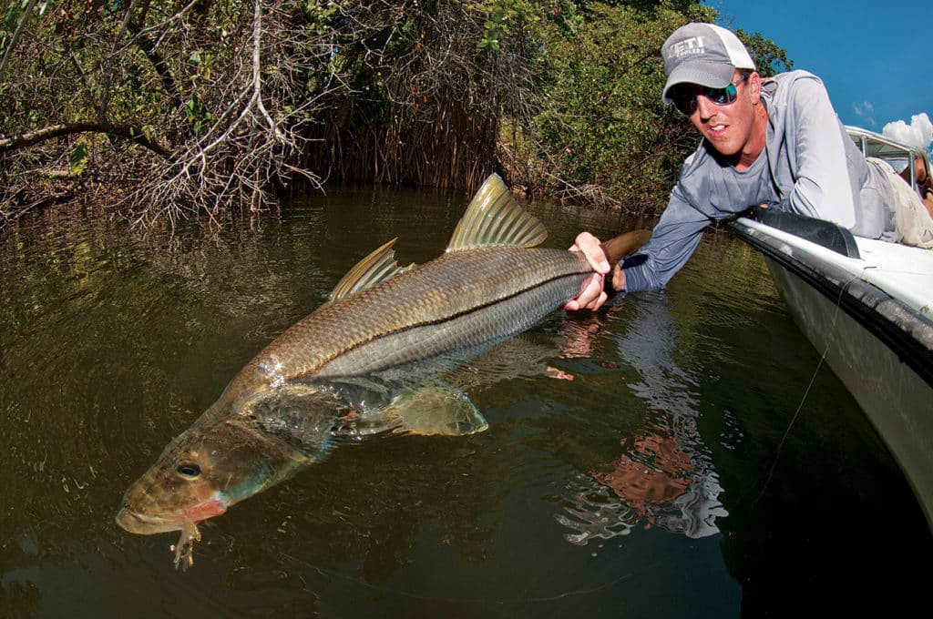 Florida snook caught in inlet