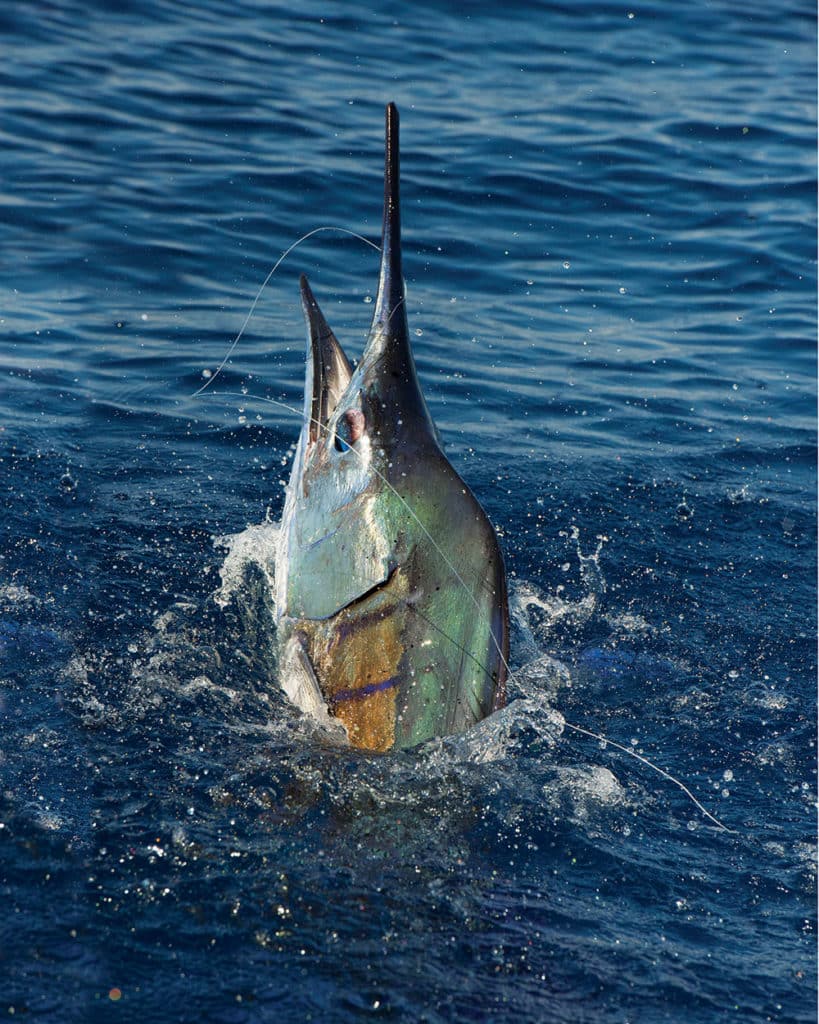 https://www.sportfishingmag.com/uploads/2021/09/spf1016_ggu_1-819x1024.jpg