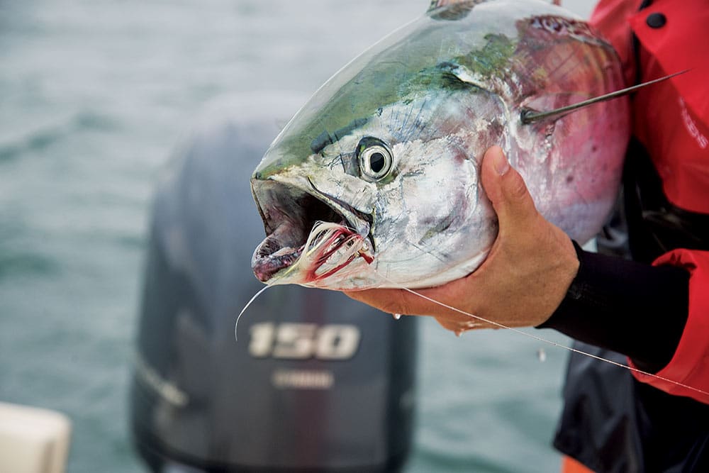 How to Set up a Fly Reel for False Albacore - Flylords Mag