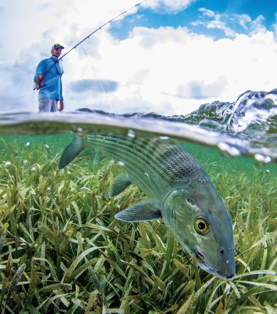 Discover Roatan Island's Flats Fishing