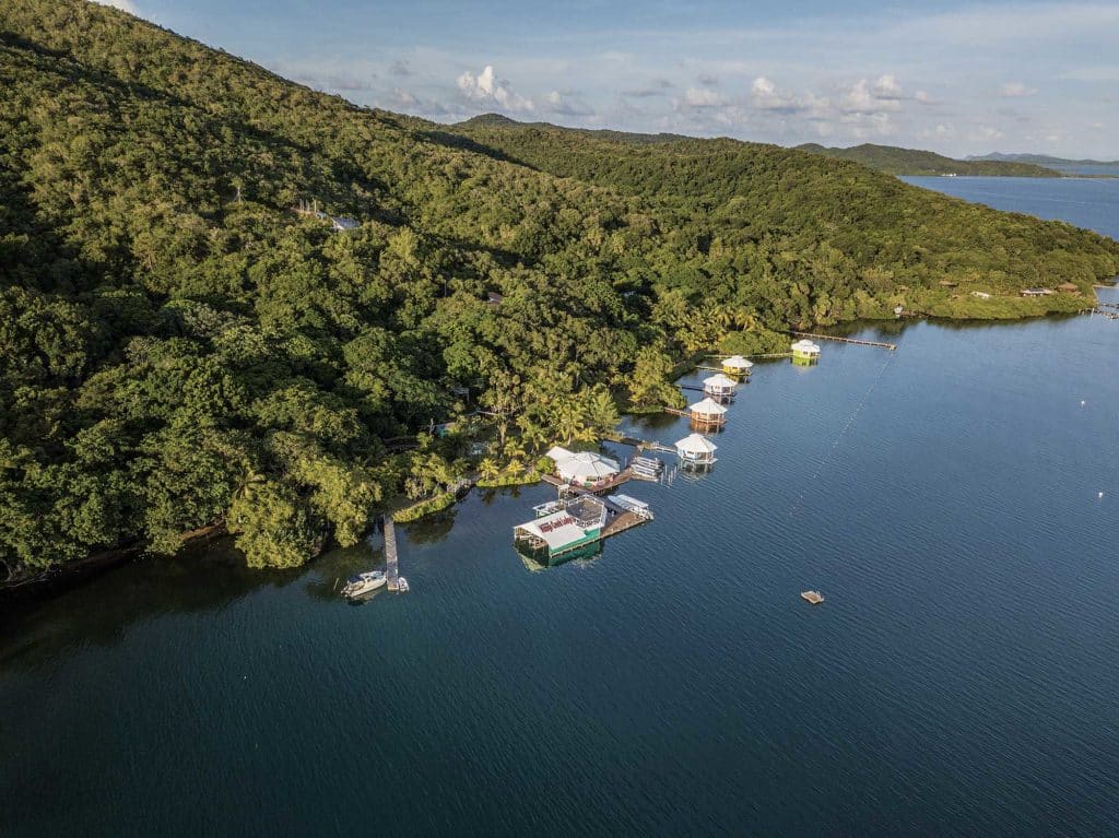 Discover Roatan Island's Flats Fishing