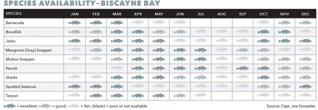 Species chart for Biscayne Bay
