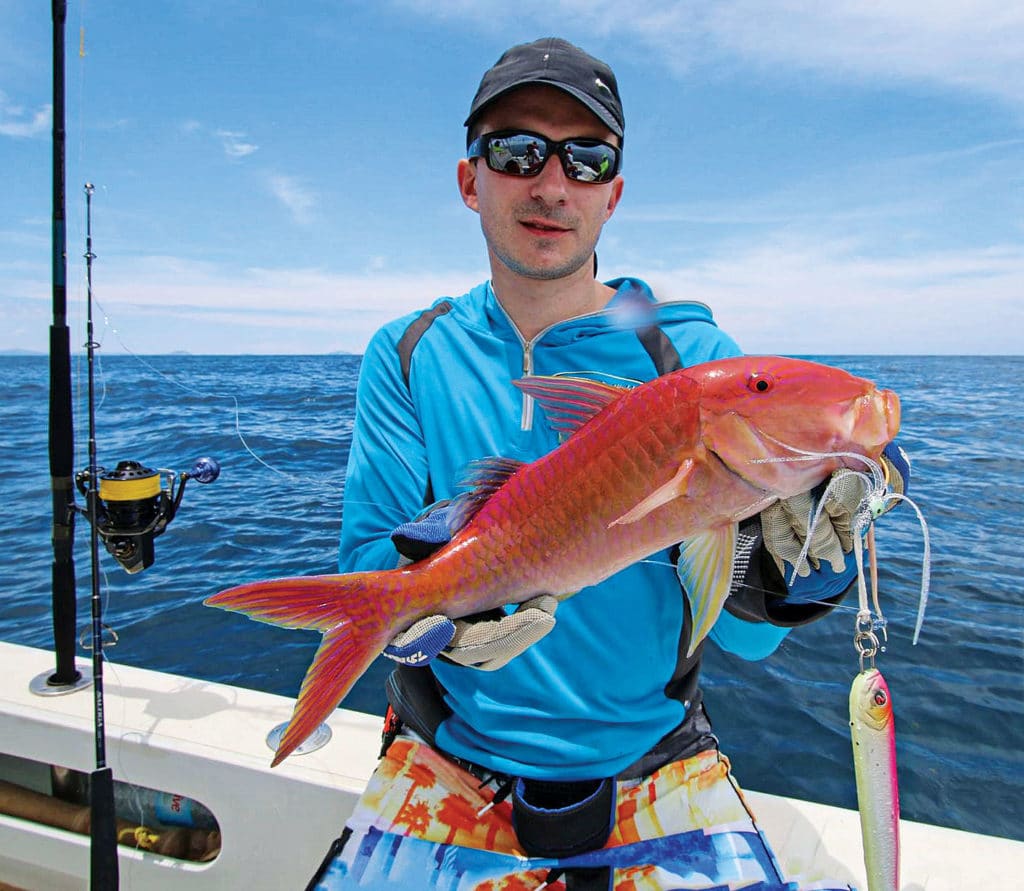 Gold-saddle goatfish caught in Madagascar