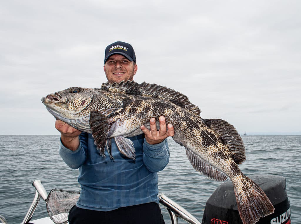 Big lingcod caught bottomfishing