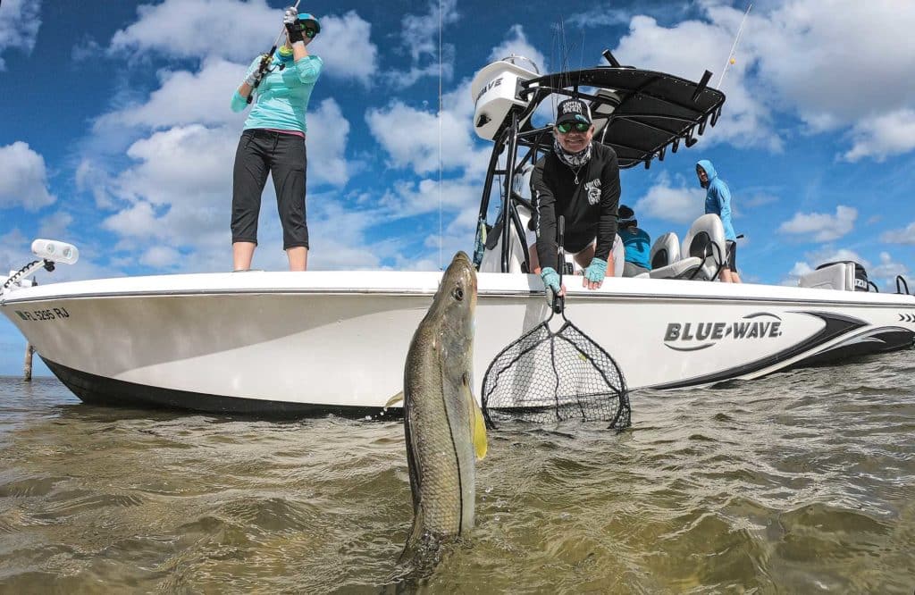 Snook caught in Tampa Bay