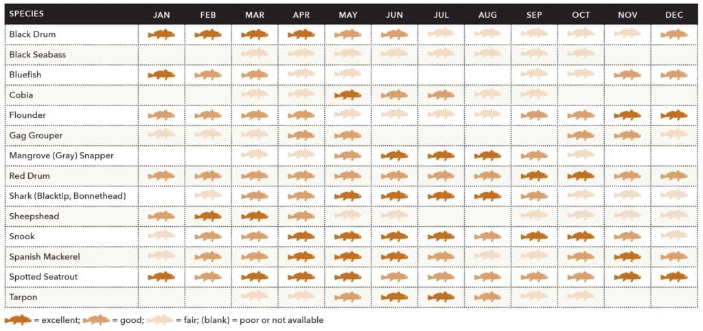 Fish species chart for Tampa Bay