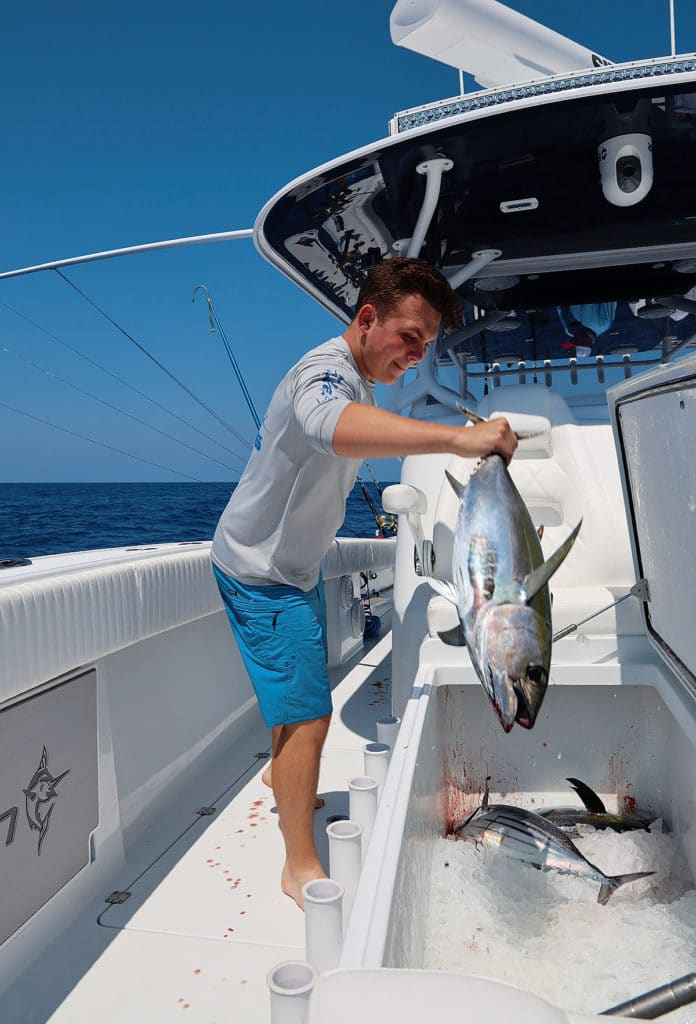 Placing fish in the ice box