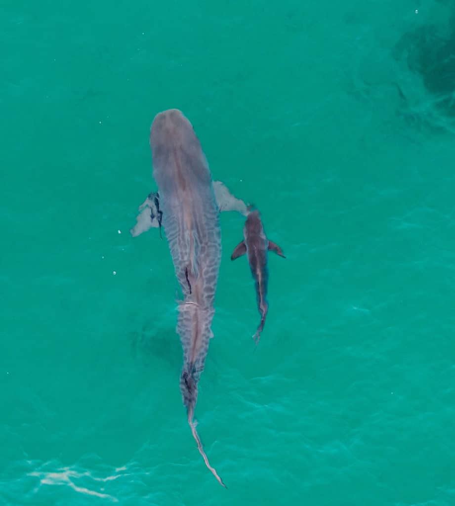 Extraordinary Photos from Sport Fishing's "Last Cast" Pages, 2018