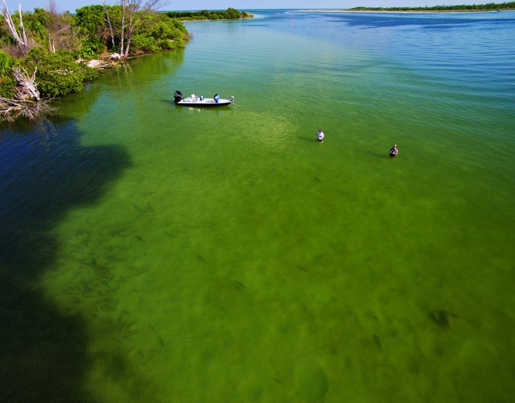 Drones and fishing -- reconnaissance over the shallows