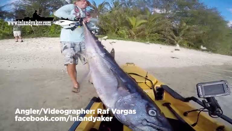 Video: Lone Kayaker Lands 170-Pound Dogtooth Tuna