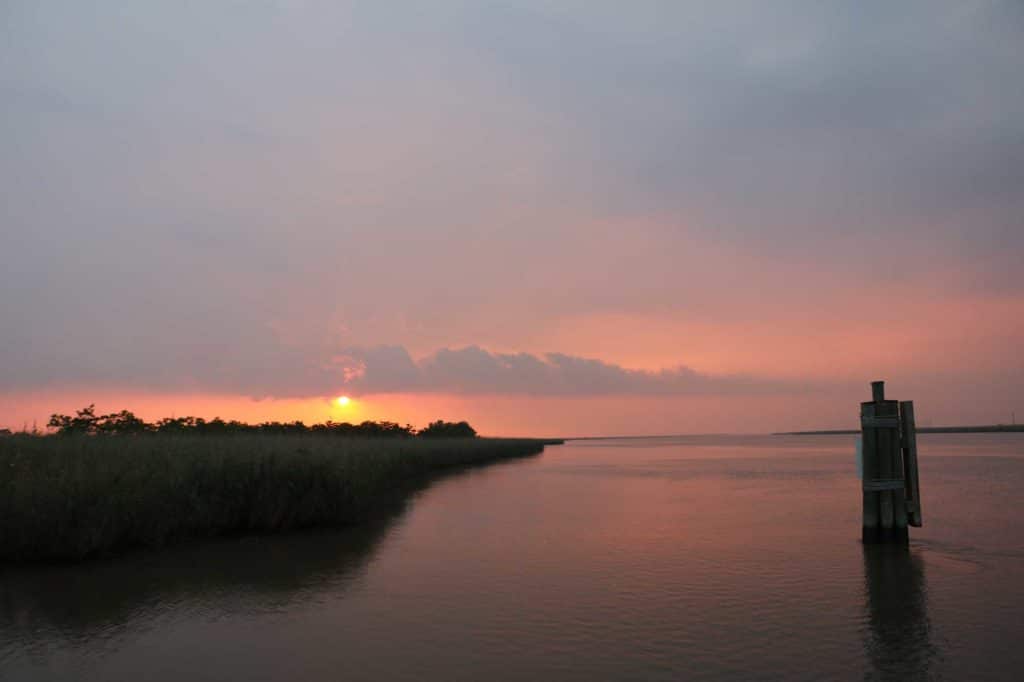 Multiday Fishing Trip to the Gulf of Mexico