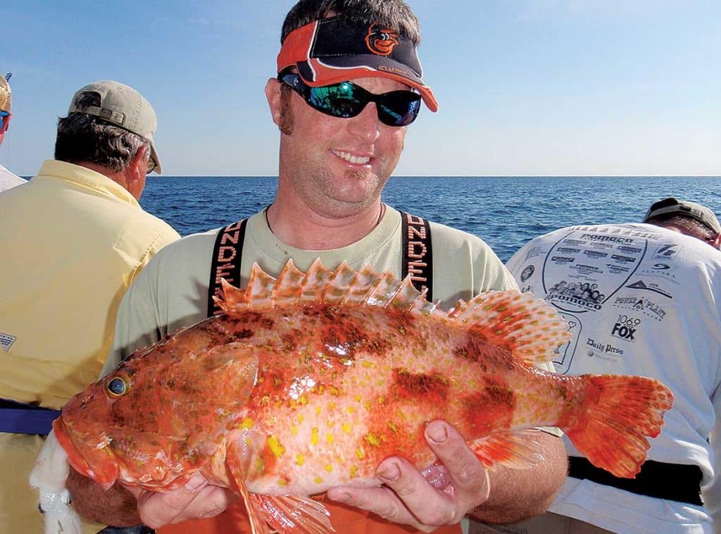 Spinycheek Scorpionfish