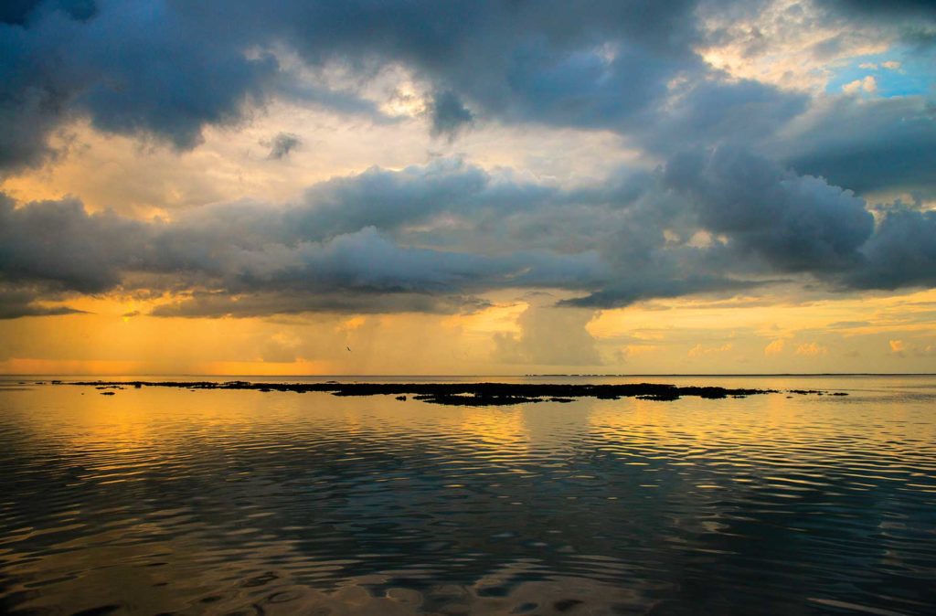 Tides Are Key to Fishing Oyster Bars