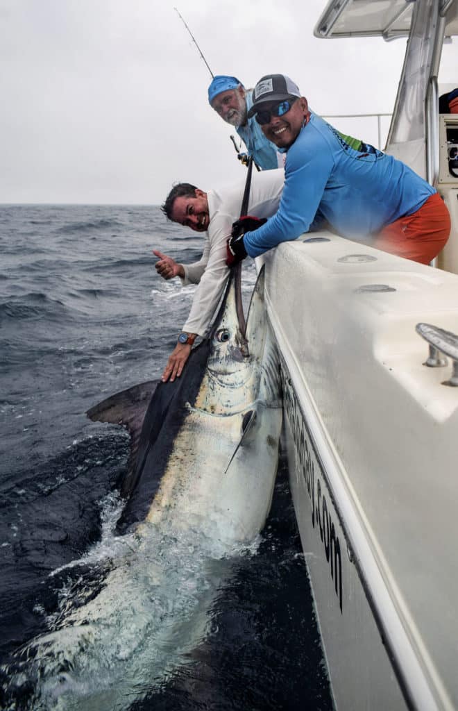 Panama Black Marlin: One Angler's Billfish-Slam Quest
