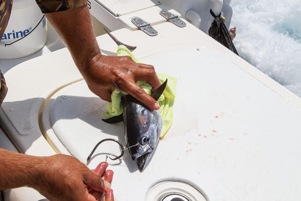 Panama Black Marlin: One Angler's Billfish-Slam Quest