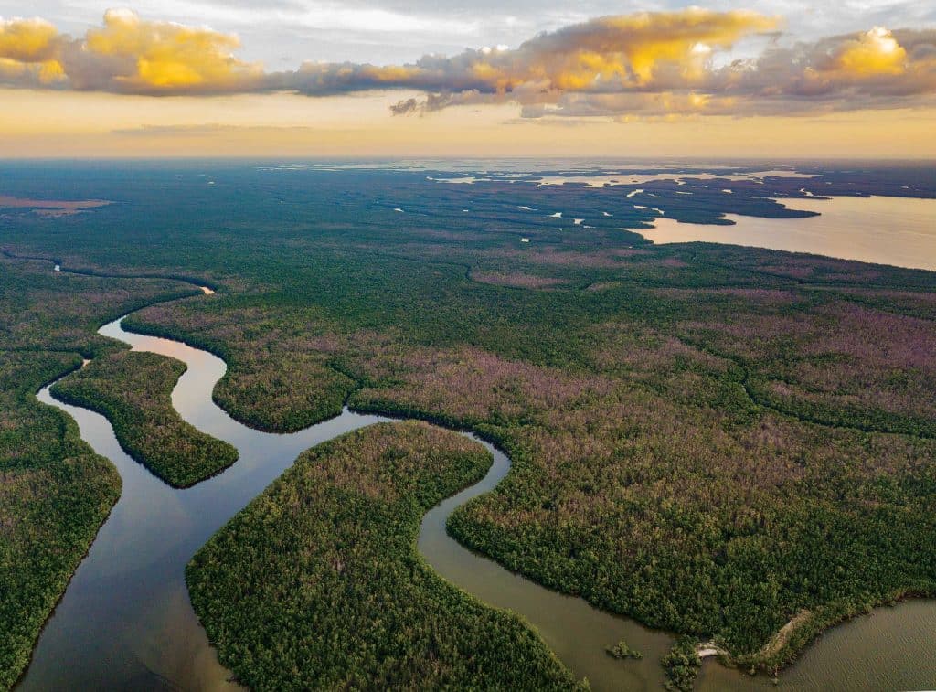 Find and Catch Tarpon Deep in Florida's Backcountry