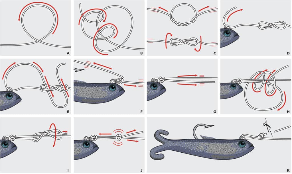 How to tie a double figure 8 knot