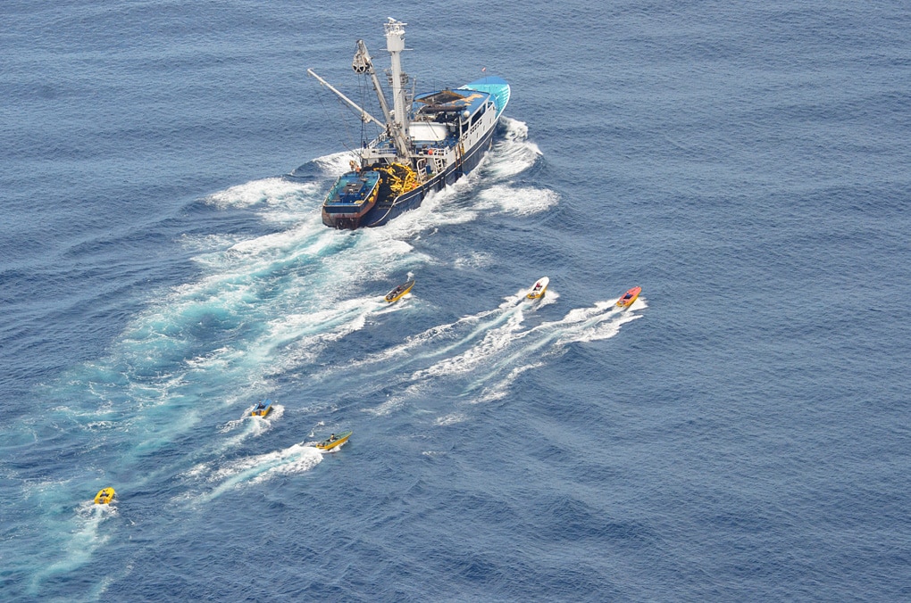 Billboards Warn of Illegal Fishing in Costa Rica