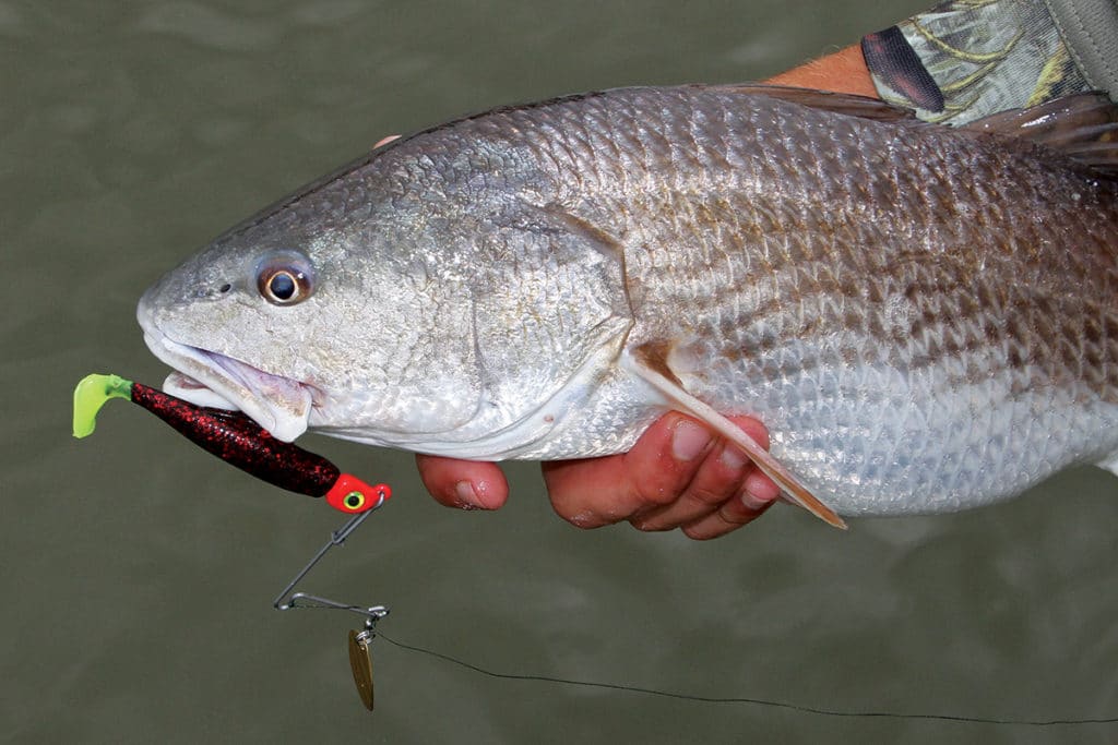 How to Fish Spinnerbaits in Salt Water