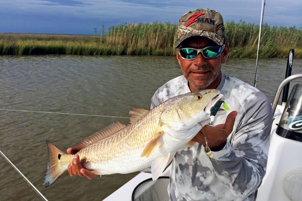 Red drum caught fishing a Z-man spinnerbait
