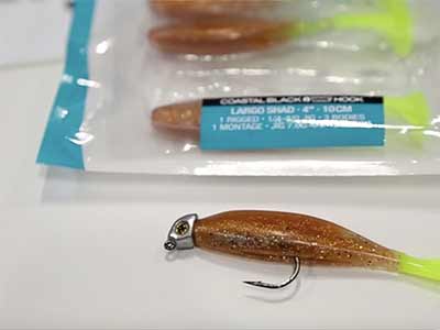 https://www.sportfishingmag.com/uploads/2021/09/storm-soft-plastic-lures-new-icast-2017.jpg