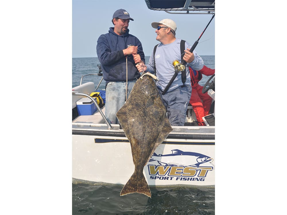 Halibut Caught on Storm Swim Shad