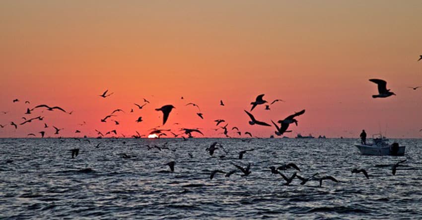 sunrise off montauk light.jpg