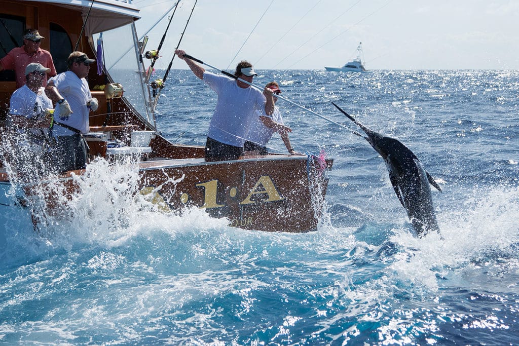 saltwater fishing anglers tagging a sport fish from a sportfisher boat