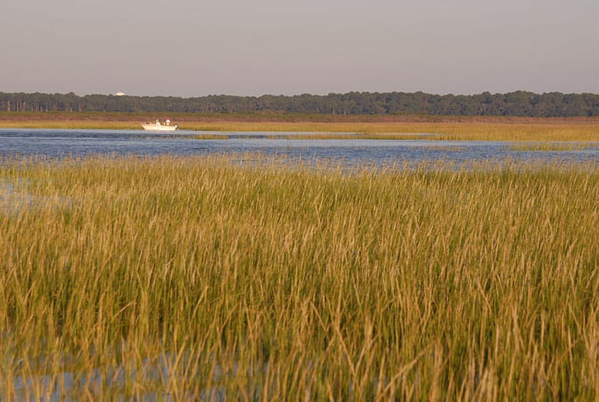 tailing redfish_03.jpg