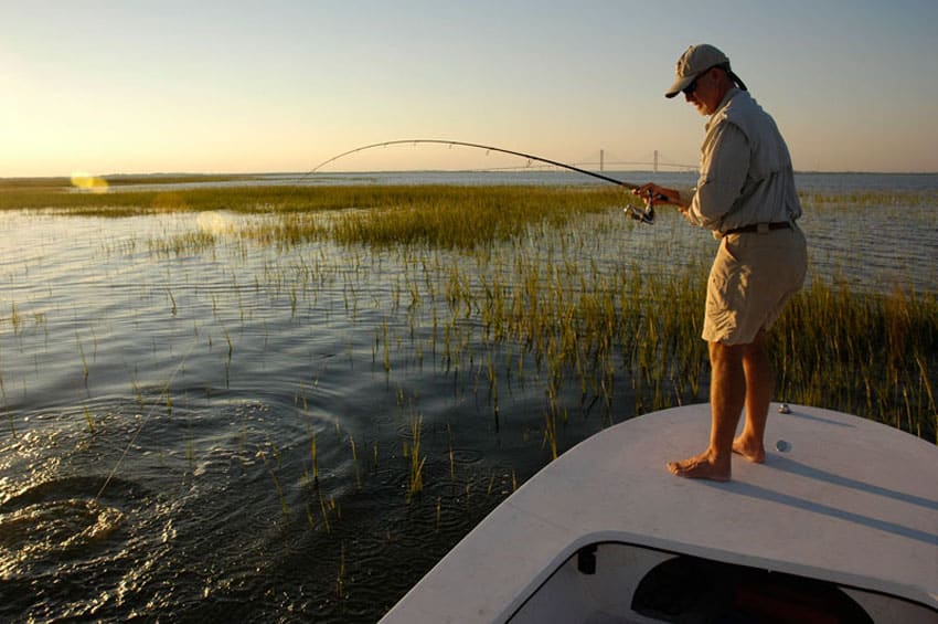 tailing redfish_06.jpg