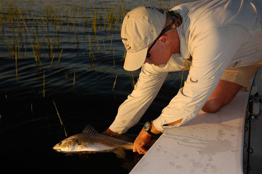 tailing redfish_08.jpg