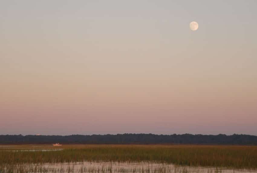 tailing redfish_12.jpg