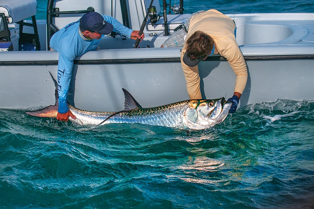 tarpon-05-jasonstemple.jpg