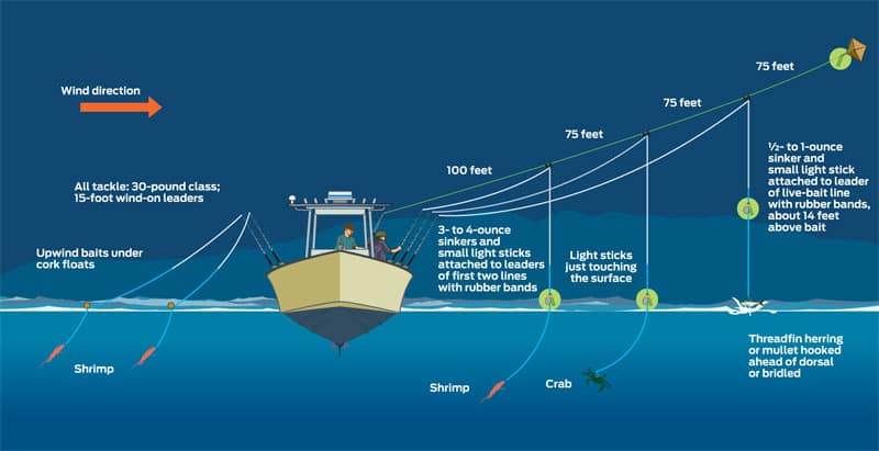 tarpon-diagram.jpg