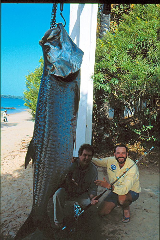 World-record tarpon from Africa