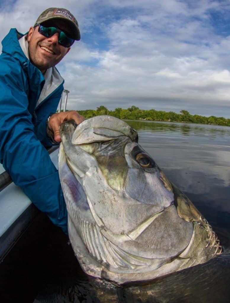 A huge Florida Everglades tarpon is released by the boat.