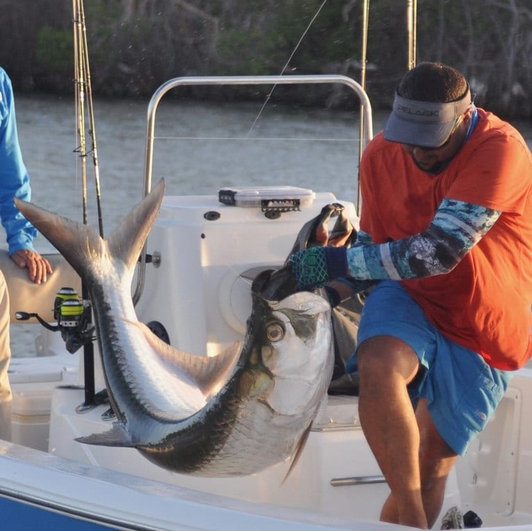 Tarpon fishing tips