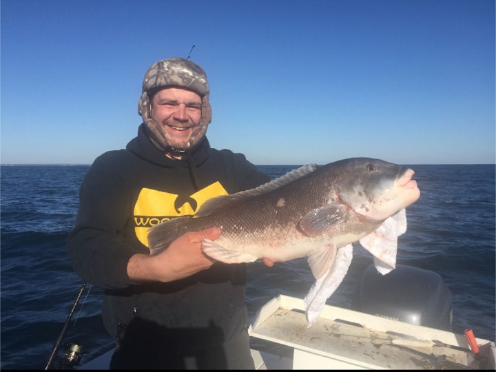 tautog fishing off Rhode Island