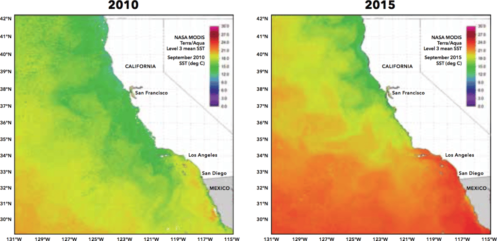 Pacific temperatures off California in 2010, 2015