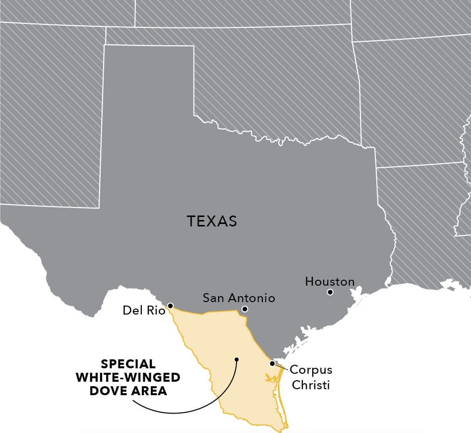 White Winged Dove Special Area in Texas Map