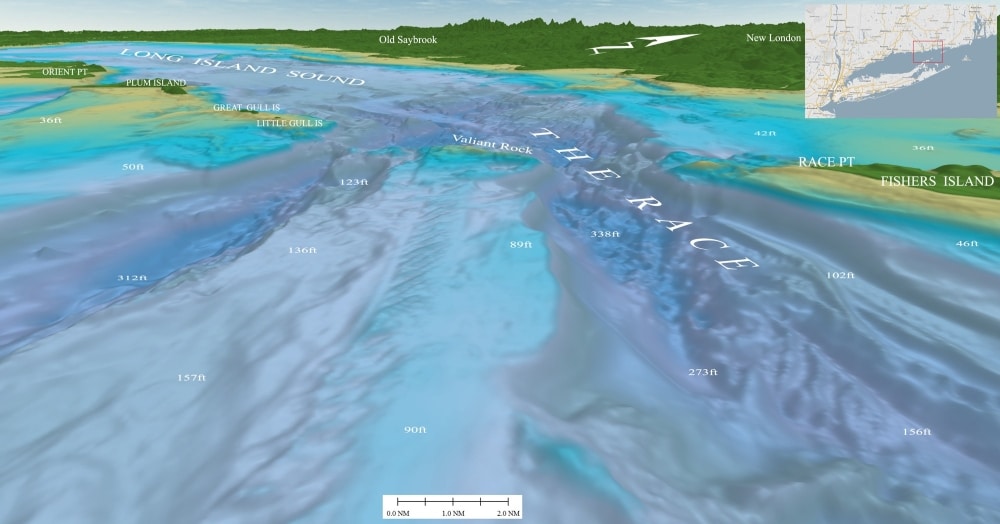 3D contour map of the Race