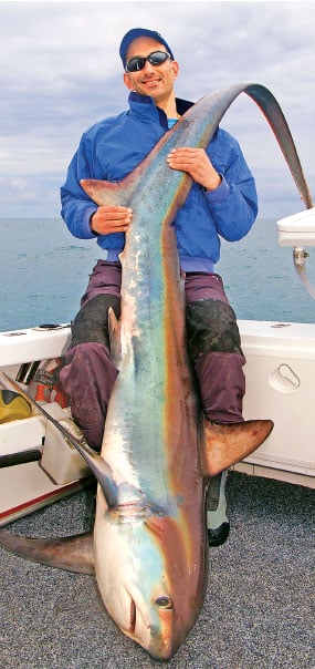 https://www.sportfishingmag.com/uploads/2021/09/thresher-shark.jpg